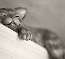 Inner Peace by WolfmanK
