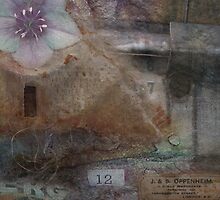 Memory Box by Simone Riley