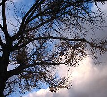 Gloom by Rali Ashenden