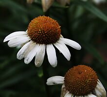 The three sisters by Antanas