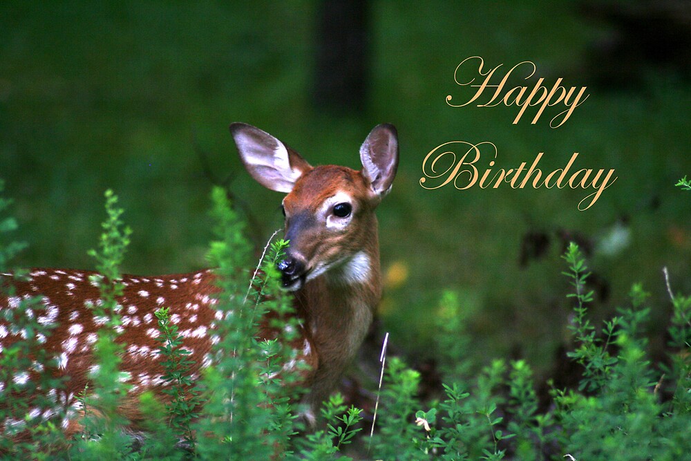  Happy Birthday Deer By CardLady Redbubble