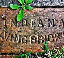 A Hoosier in Illinois by Tracy DeVore