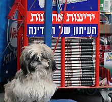 Newspaper boy by JudyBJ