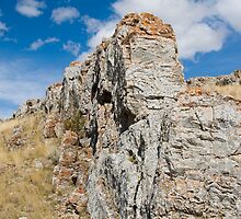 Rattlesnake Country by Ann Rodriquez