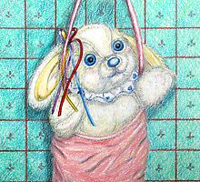 Where Pooky Began by Lorna Gerard