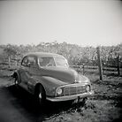 Vintage by Leanne Smith