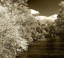 Fall On Little River by Gary L Suddath