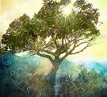 Rooted by Elena Ray