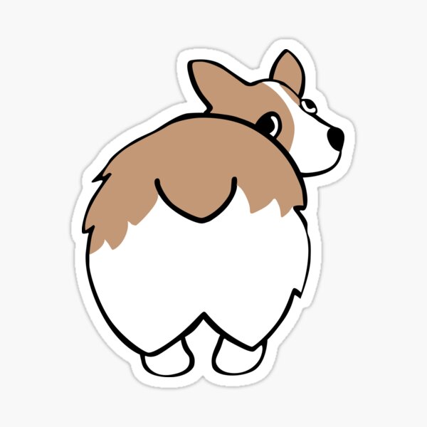 Corgi Butt Stickers Redbubble