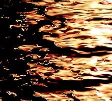 Lucid Reflections by James Lady