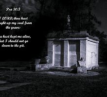 Psalm 30:3 by Michael Reimann