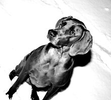 my best friend by Justin Michaelov
