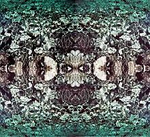 Buddha See Shells by kevin gerien