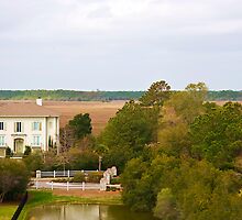 Georgetown DeBordieu Colony by Leta Davenport