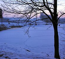 morning at malabar before sunrise by 1busymom