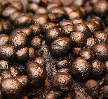 What is it? Solved Burnt Marshmallows...Here is their sad story... by Marie Terry