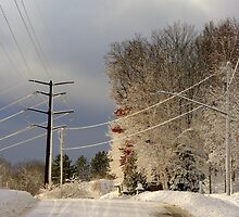Wired for Snow by Thomas Sielaff