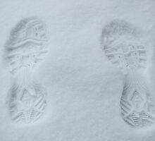 Size-10 by pclark
