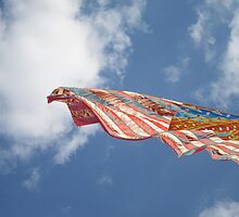 America by Cheyenne
