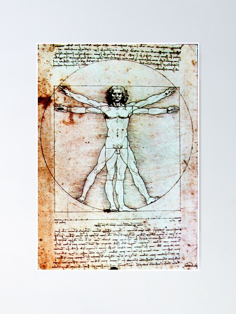 Vitruvian Man Leonardo Da Vinci Handwriting Antique Parchment Poster