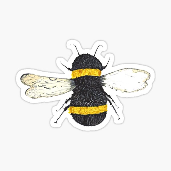 Save The Bees Stickers For Sale Redbubble