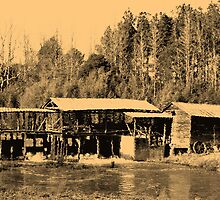 Sepia Sciple's Mill by Ginger Barritt
