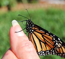 Thumbin' by Donna Adamski