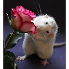 A rose for you! by Ellen van Deelen