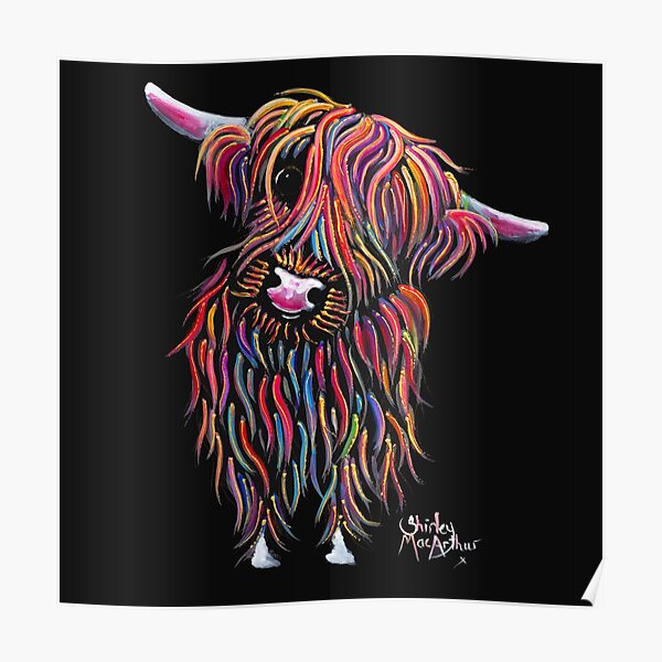 Scottish Highland Cow BoLLY By Shirley MacArthur Poster By