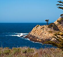 Point Lobos' Solitary Cypress by MarkEmmerson