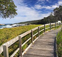 Mimosa Rocks National Park by Darren Stones