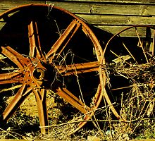 Wheels by Ginger Barritt