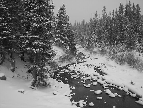 Brainard Lake Rec Area