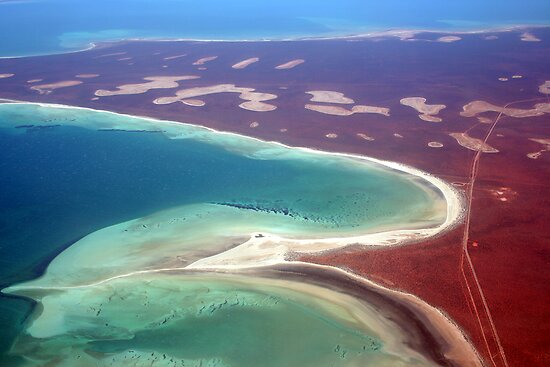 shark bay beach