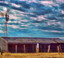 Southern Cross and Shearing Shed Revisited by Jennifer Craker