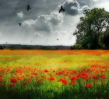 The sweetest dreams by John Edwards