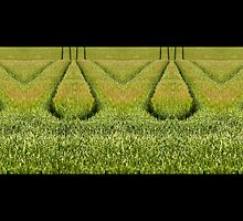impossible landscape by christopher bailey