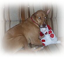 Will You Be My Valentine? by Jonice