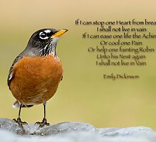Emily Dickinson's Robin by Bonnie T. Barry
