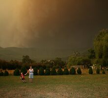 The Day Went Dark by Di Jenkins