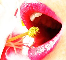 Maneater by SHOI Images