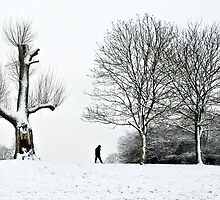 Passing of the Blizzard by Alan Watt