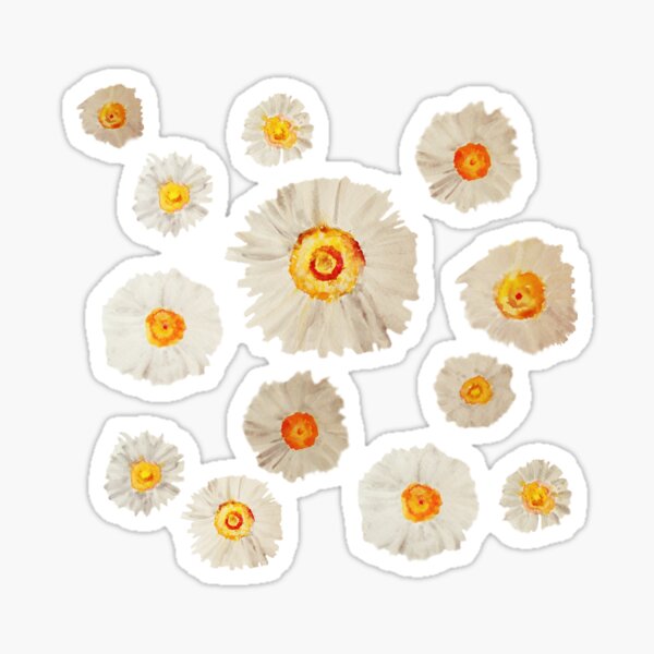 Daisy Flowers Sticker For Sale By Manitarka Redbubble