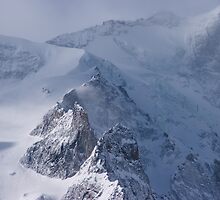 Bird of Prey, La Rateau Mountain, The French Alps by Elizabeth Turner