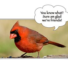 Dedicated to all my Red Bubble friends by Bonnie T. Barry