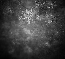 the white snow is not perfect II by andreasphoto