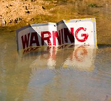 WARNING by Paul Davis