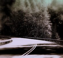 Heading To The Cove Rose by Adrena87