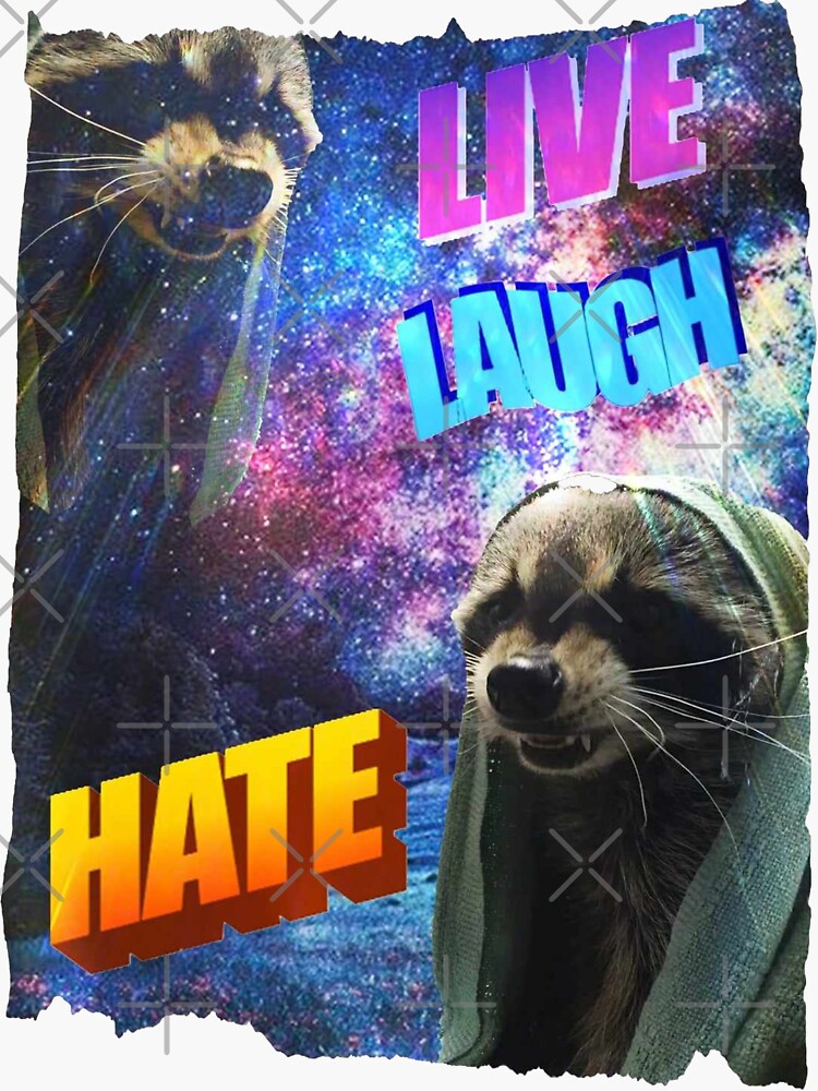 Funny Raccoon Live Laugh Love Meme Sticker For Sale By GypsyDangerz