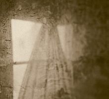passing windows by butchart